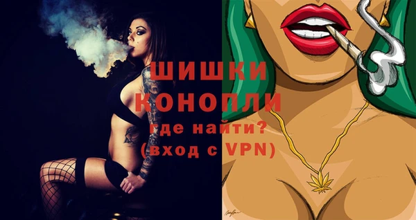 дурь Каменка