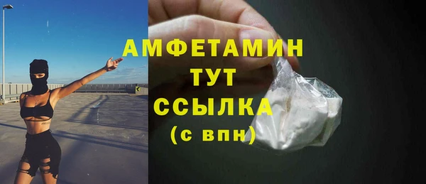 дурь Каменка