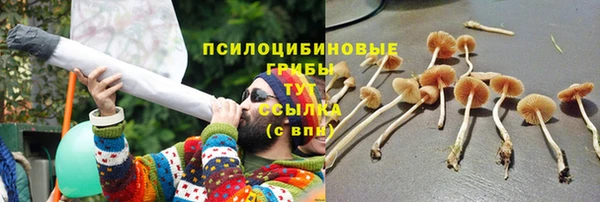 дурь Каменка